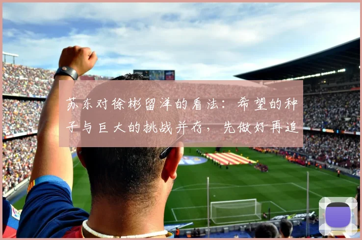 苏东对徐彬留洋的看法：希望的种子与巨大的挑战并存，先做好再追求完美