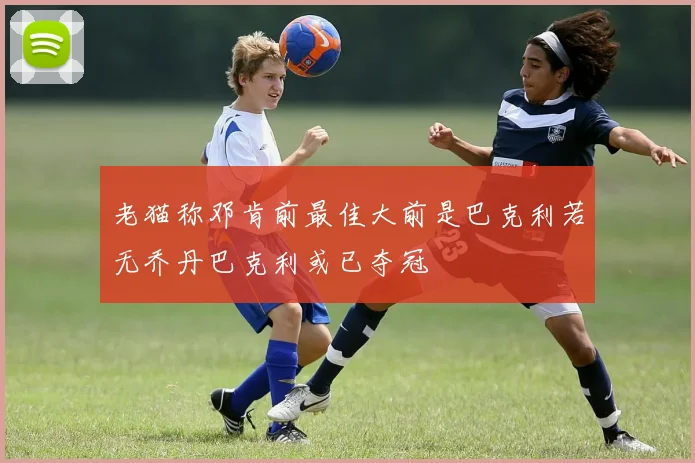 老猫称邓肯前最佳大前是巴克利若无乔丹巴克利或已夺冠