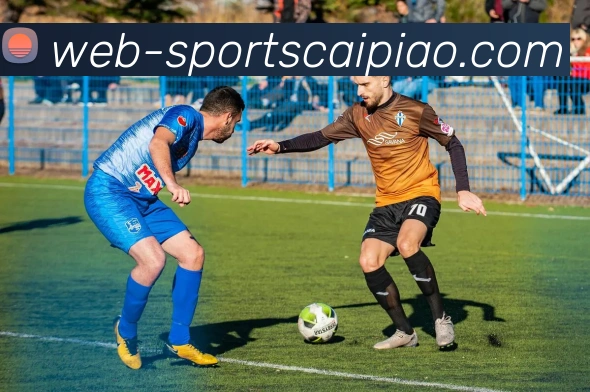 大发彩票发展历程