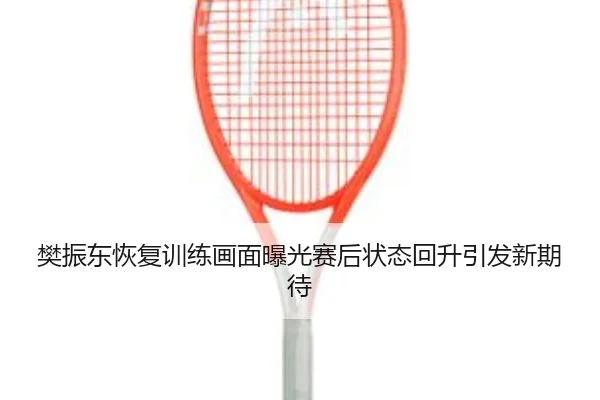 樊振东恢复训练画面曝光赛后状态回升引发新期待（dafabet）